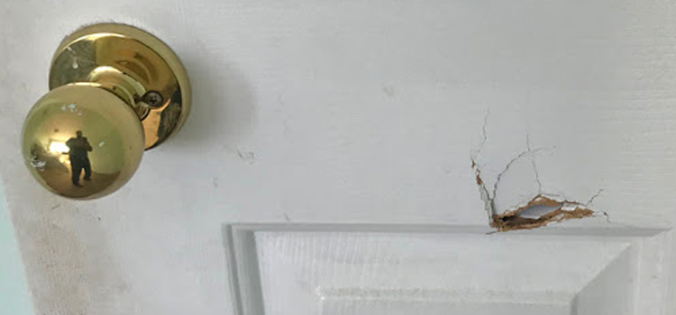 interior door hole repair East Palo Alto